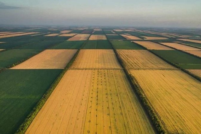 Як купити земельну ділянку у Полтаві через Прозорро