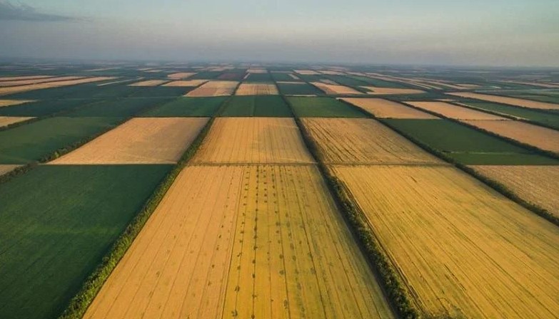купити земельну ділянку